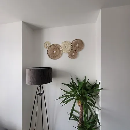Coquet A 15mn De Paris Et 10 Mn De Stade De France, Wifi, Netflix, Lejlighed